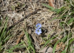 DSC_4587.jpg