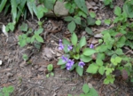 DSC_4822.jpg