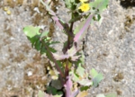 thumb_DSC_4700_1024.jpg