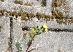 thumb_DSC_4701_1024.jpg