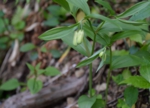 DSC_4897.jpg