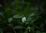 DSC_4898.jpg