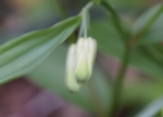 DSC_6141.jpg