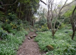 DSC_5071.jpg