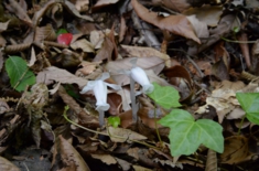 thumb_DSC_5409_1024.jpg