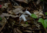 DSC_5408.jpg