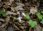 DSC_5410.jpg