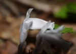 DSC_6342.jpg