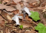 DSC_6343.jpg