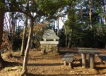 RIMG0737.JPG
