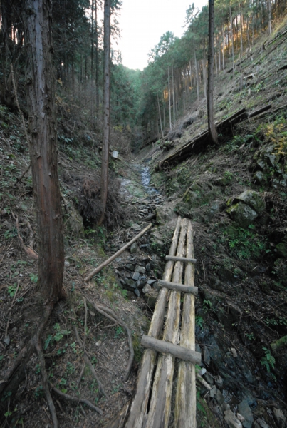 DSC_7095.jpg