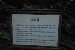 DSC_7150.JPG