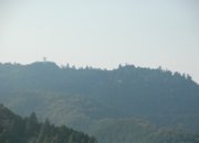 DSC_6465.JPG