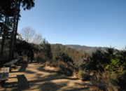 DSC_7124.JPG