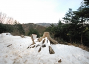 DSC_7238.JPG