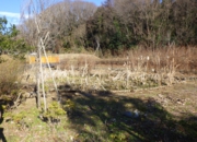 RIMG0775.JPG