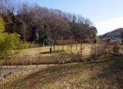 RIMG0777.JPG