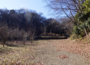 RIMG0776.JPG