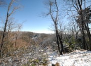 DSC_7331.JPG