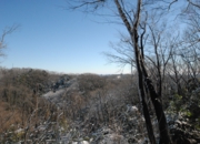 DSC_7332.JPG