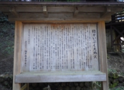 RIMG0588.JPG