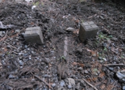 DSC_7083.jpg