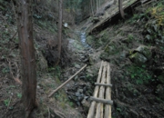 DSC_7095.jpg