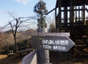 RIMG0643.JPG