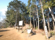 DSC_7101.JPG