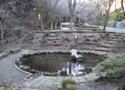 RIMG0593.JPG