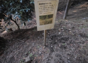 DSC_7084.jpg