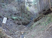 RIMG0608.jpg