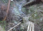 RIMG0606.jpg