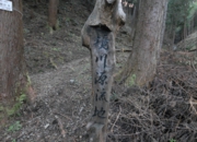 DSC_7093.jpg