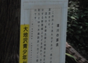 DSC_6447.jpg
