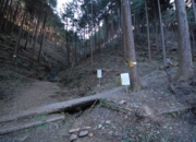 DSC_7090.JPG
