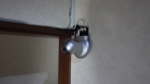RIMG0892.JPG