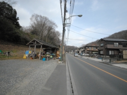 DSC_7303.JPG