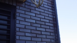RIMG0905.jpg