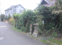 DSC_6545.JPG