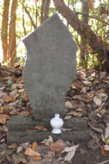 RIMG0148-1.jpg