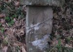 DSC_6539.jpg