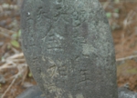 DSC_6569.jpg
