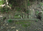 DSC_6342.JPG
