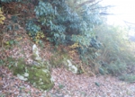 RIMG0519.JPG