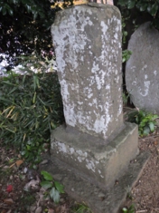 RIMG0180-1.jpg