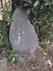 RIMG0181-2.jpg