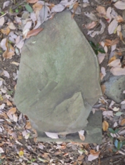 RIMG0149-1.jpg