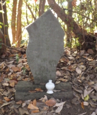 RIMG0148-1.jpg