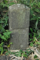 DSC_6586.jpg